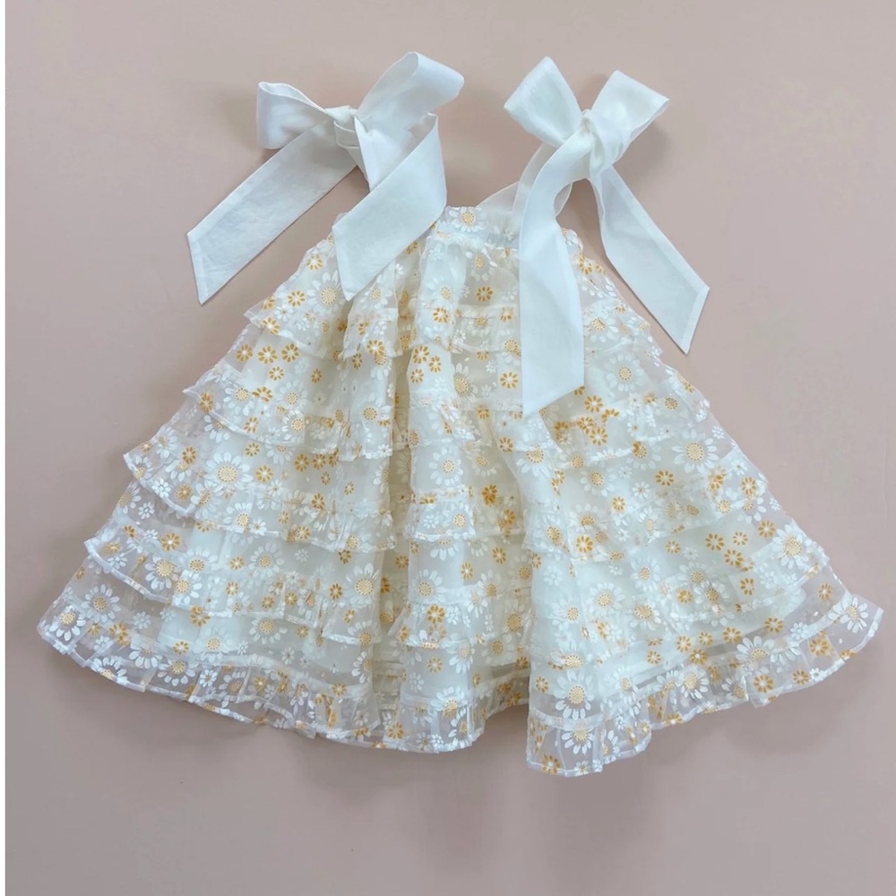 (NWOT) Chloe and Amelie - Mary Mary Dress in Daisy Fields